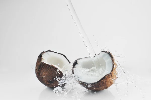Pęknięty kokosowe rozpryskiwania — Zdjęcie stockowe