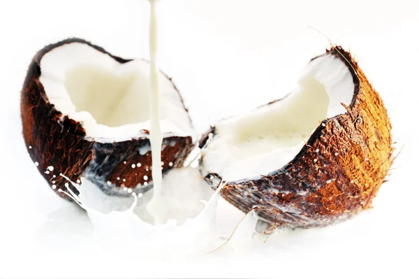 Coco agrietado con salpicadura —  Fotos de Stock