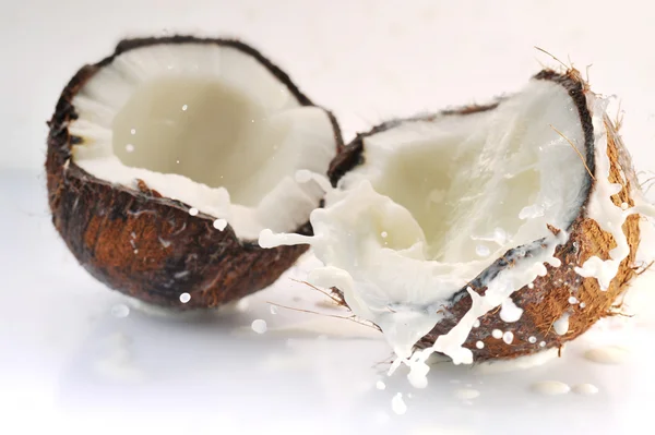 Gebarsten kokosnoot spatten — Stockfoto