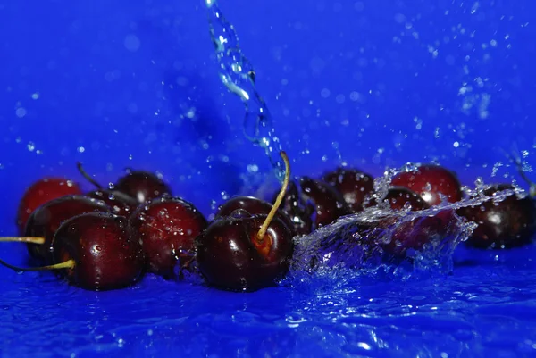 Gotas de água em cereja — Fotografia de Stock