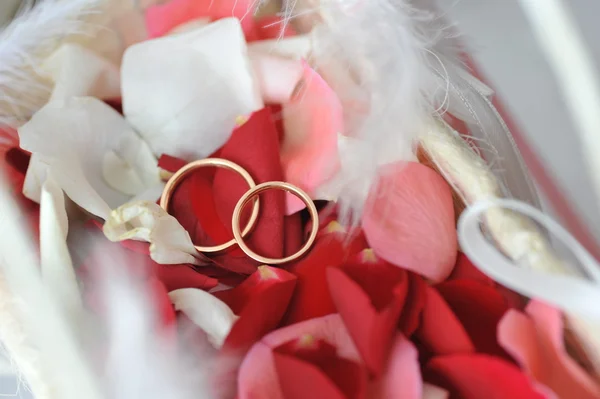Pétalas de rosas e anéis — Fotografia de Stock