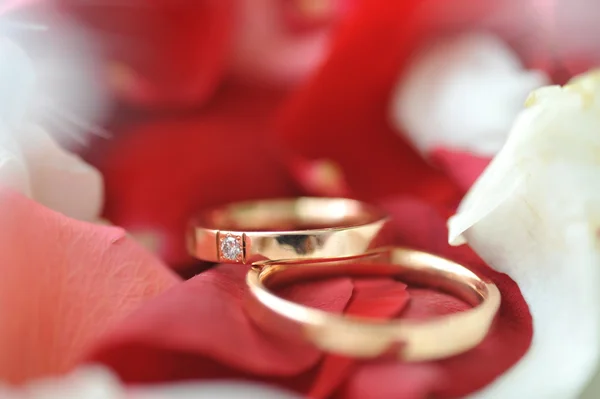 Pétalas de rosas e anéis — Fotografia de Stock
