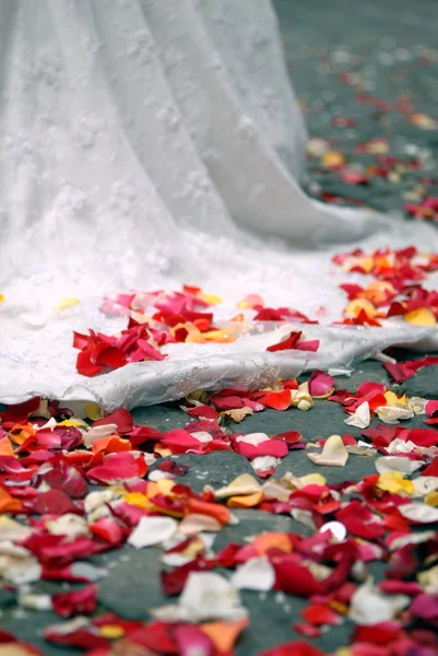 Rosenblätter auf dem Boden — Stockfoto