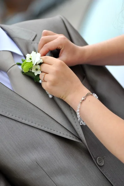 Brudgummens blomma — Stockfoto