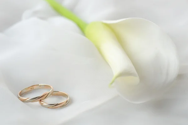 Anneaux de mariage et fleur blanche sur blanc — Photo