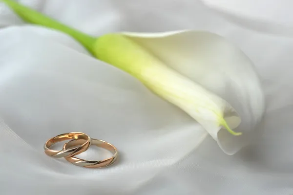 白色织物和结婚戒指 — Φωτογραφία Αρχείου