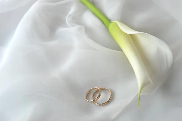 Белая ткань и обручальные кольца — стоковое фото