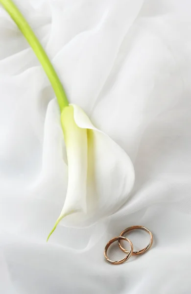Белая ткань и обручальные кольца — стоковое фото