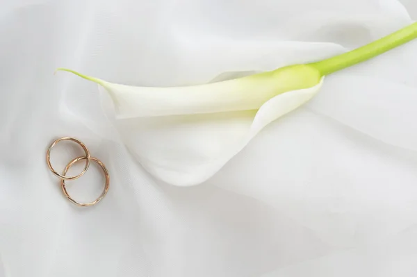 Snubní prsteny a bílý květ na bílém pozadí — Stock fotografie