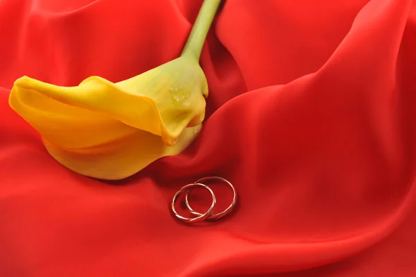 Красная ткань и желтый цветок — стоковое фото