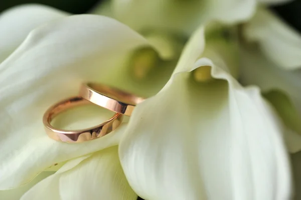 Ramo de novia y anillos — Foto de Stock