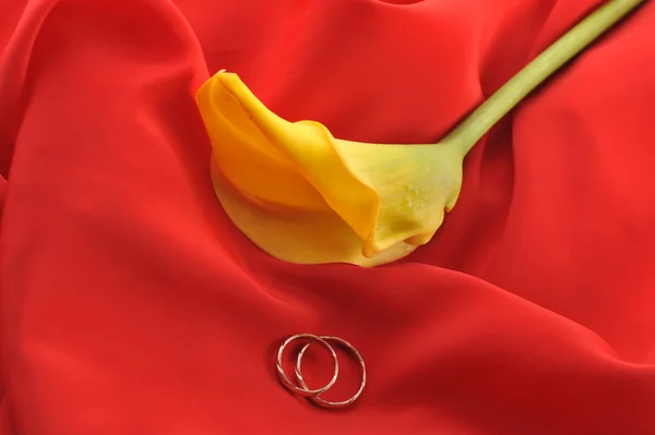 Tecido vermelho e flor amarela — Fotografia de Stock