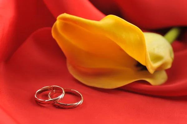 Anillos de boda y flor amarilla en rojo —  Fotos de Stock