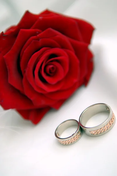 Rosa roja con anillos —  Fotos de Stock