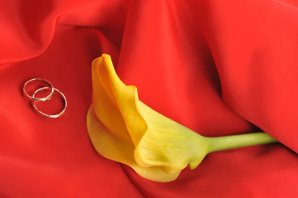 Rode stof en gele bloem — Stockfoto