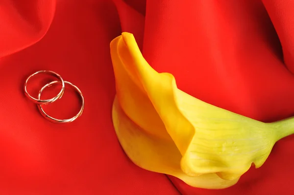 Tissu rouge et fleur jaune — Photo