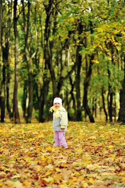 Ragazza che gioca nel parco di autunno — Foto Stock