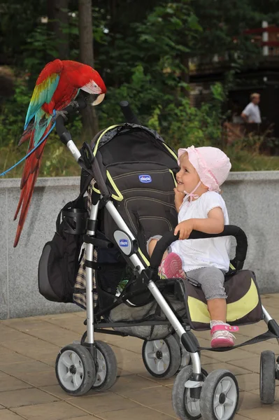 Malá holka a papoušek — Stock fotografie