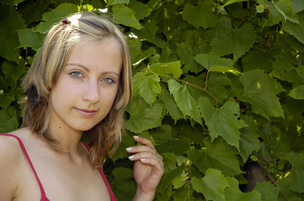 Девушка на фоне винограда — стоковое фото