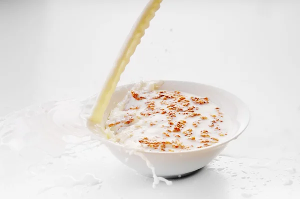 Mjölk och cornflakes — Stockfoto