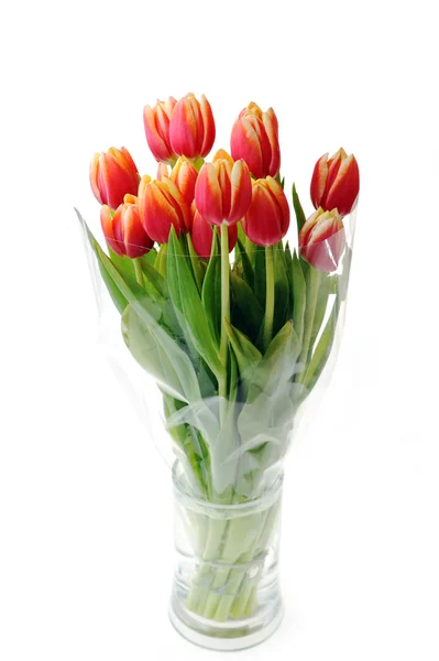 Tulipány v skleněná váza — Stock fotografie