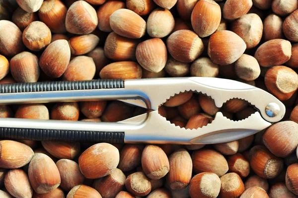 Nötknäpparen och hasselnötter — Stockfoto