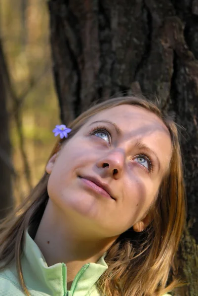 Ung kvinna i skogen Stockfoto