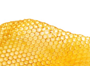 Bee honeycombs clipart