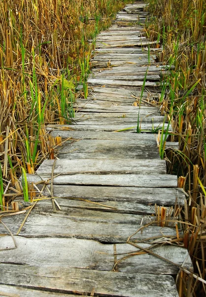 stock image Wooden planks footbridge