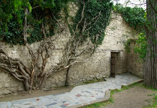 Landscape design — Stock Image Landscape design Stock Picture