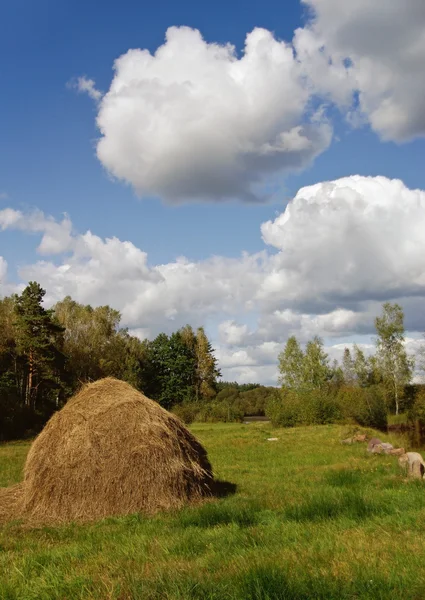 stock image Haystack on the meadow