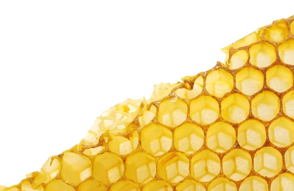 Stock image Bee honeycombs