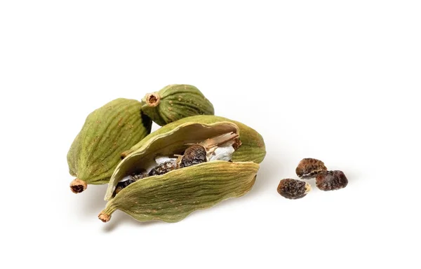 Cardamon with cardamon seeds — Stock Photo, Image