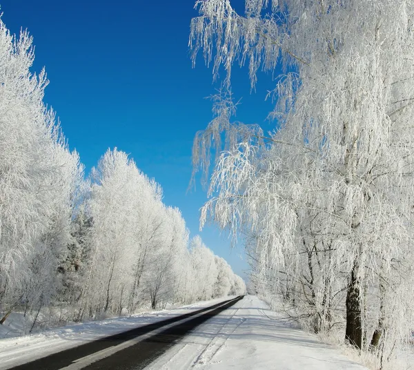 Зимовий пейзаж з дорогою — стокове фото
