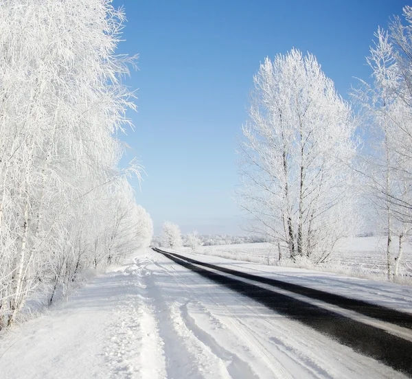 Paisaje de invierno con carretera Imagen De Stock