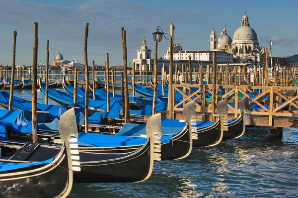 Santa Maria della Salute, Venecia —  Fotos de Stock
