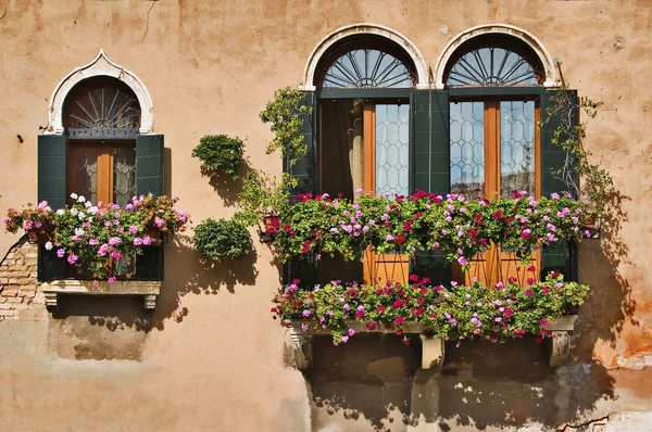 Okna v Benátkách — Stock fotografie