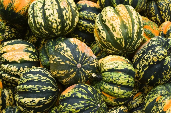 stock image Pumpkins