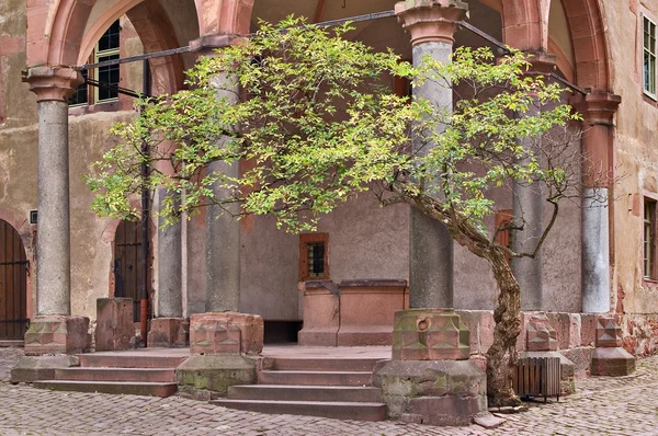 Dvůr hradu Heidelberg — Stock fotografie