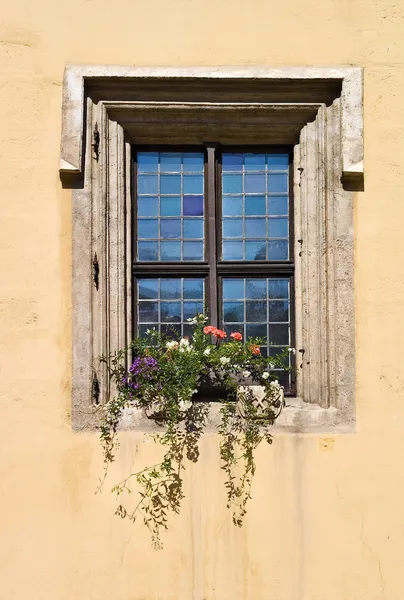 Окно в Регенсбурге — стоковое фото