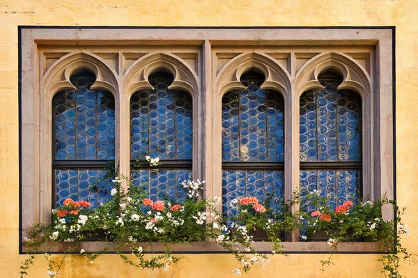 Окна Регенсбурга — стоковое фото