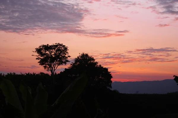 在热带地区的日落 — 图库照片