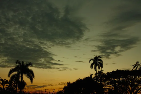 Puesta de sol en los trópicos — Foto de Stock