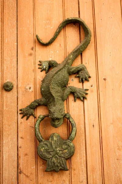 Metal knocker shaped dragon or lizard — Stock Photo, Image