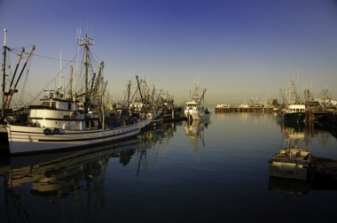 Fish boats in harbour clipart