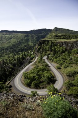 At Ayakkabısı