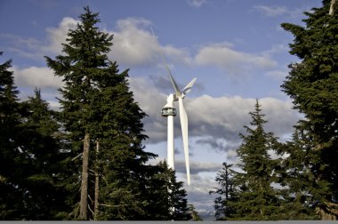 Wind turbine in amongst the trees clipart