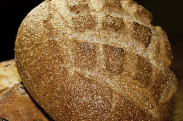 stock image Round loaf of bread