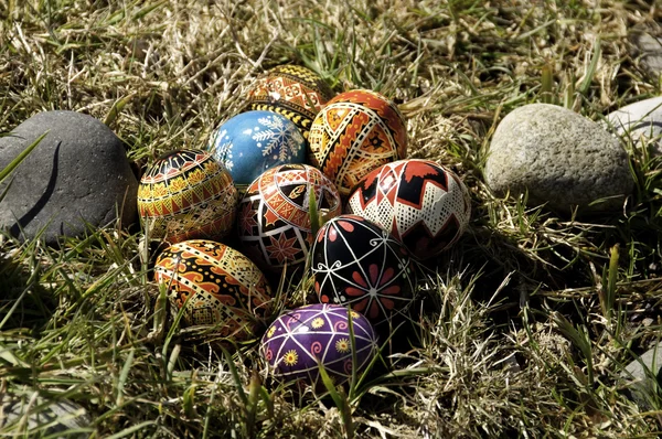 Pedras e ovos — Fotografia de Stock