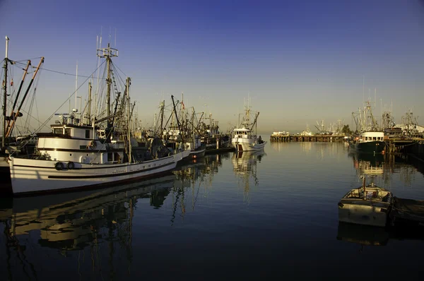 Fish boats in harbour — Stock Photo, Image